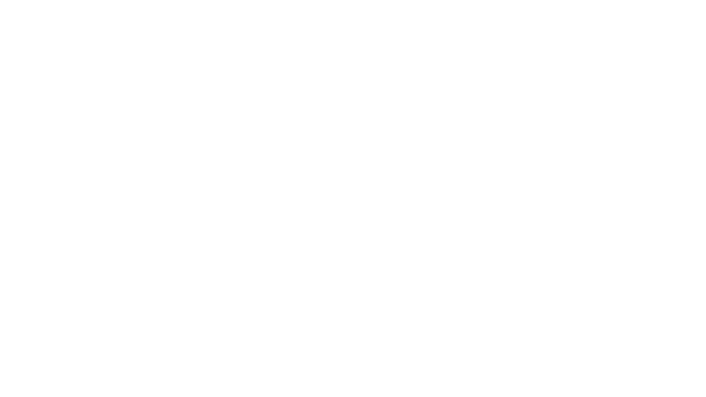 bitz